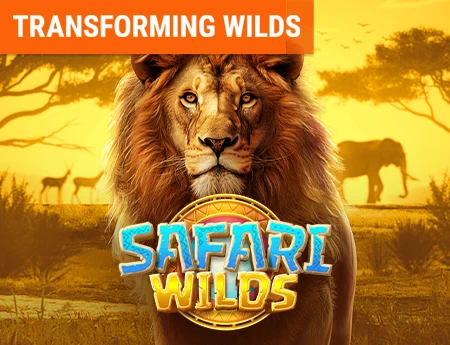 Safari Wilds